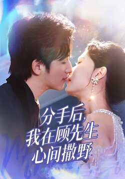 分手后，我在顾先生心间撒野