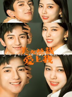 美女总裁爱上我