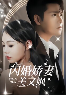 闪婚娇妻美又飒