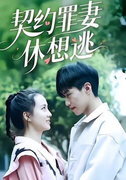 契约罪妻休想逃