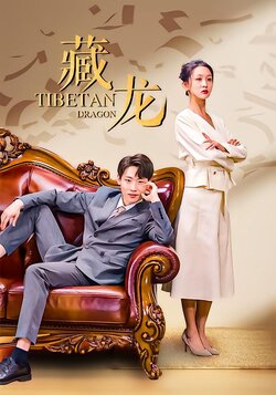 藏龙