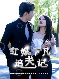 红娘下凡追夫记