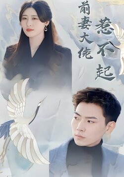 前妻大佬惹不起