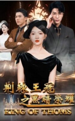 荆棘王冠之黑暗荣耀