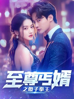 至尊丐婿之傻子拳王