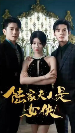 陆家夫人是女侠
