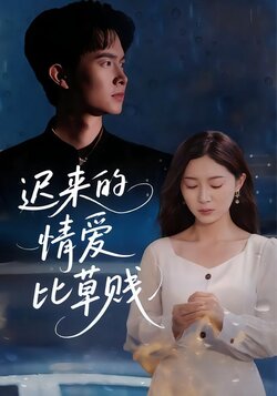迟来的情爱比草贱