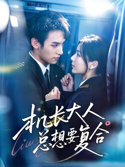 机长大人总想要复合