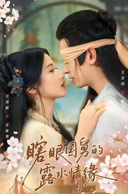 瞎眼国舅的露水情缘
