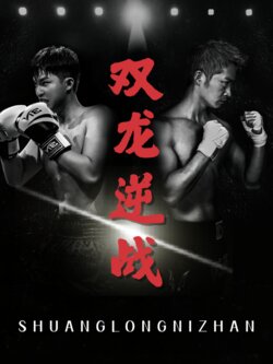 双龙逆战