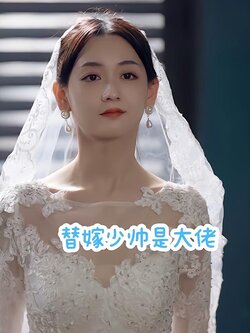 替嫁少帅是大佬