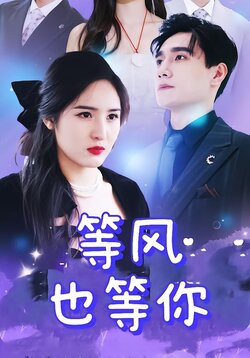 等风也等你