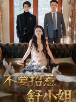 不要招惹舒小姐