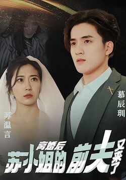 离婚后，苏小姐的前夫又来了