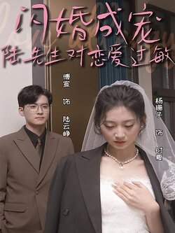 闪婚成宠，陆先生对恋爱过敏