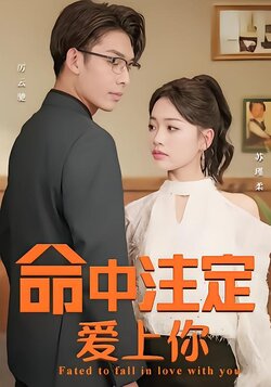 命中注定爱上你