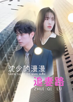 沈少的漫漫追妻路