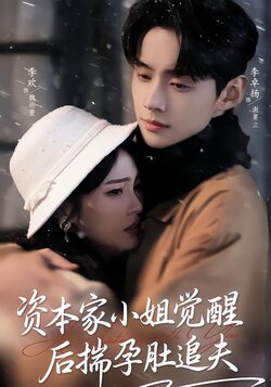 资本家小姐觉醒后揣孕肚追夫