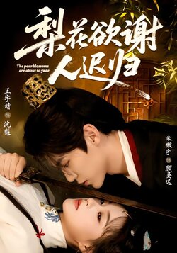 梨花欲谢人迟归