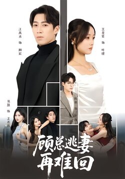 顾总逃妻再难回