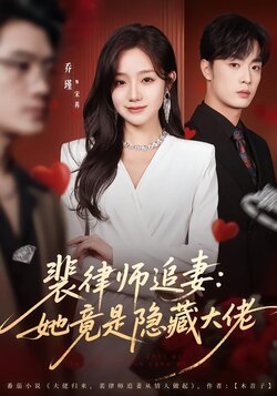 裴律师追妻：她竟是隐藏大佬