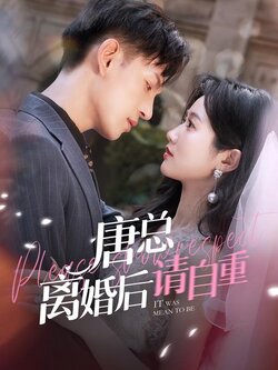 唐总离婚后请自重