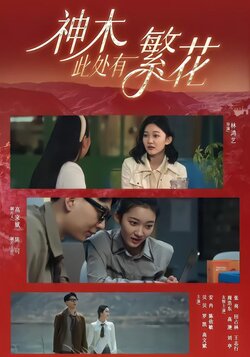 神木此处有繁花