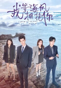 我等海风拥抱你