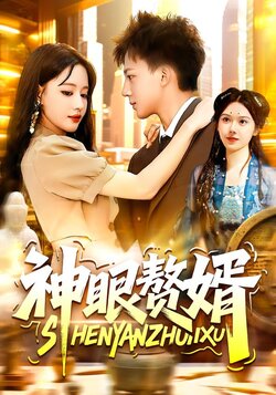 神眼赘婿