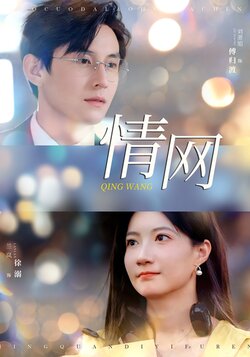 情网