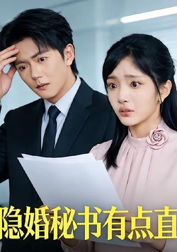 隐婚秘书有点直