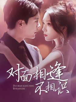 对面相逢不相识