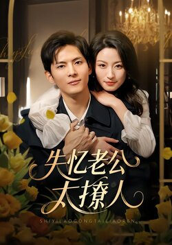 失忆老公太撩人