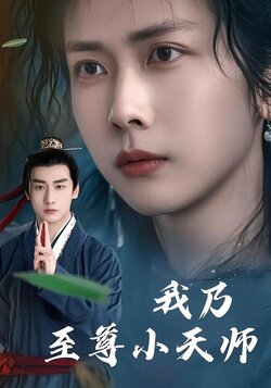 我乃至尊小天师