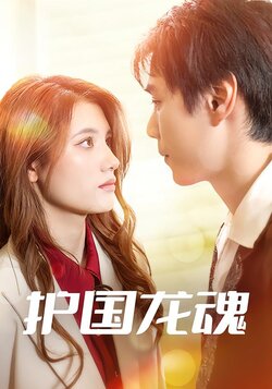 护国龙魂