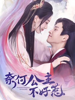 奈何公主不好惹