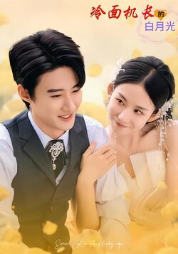 冷面机长的白月光