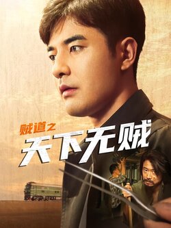 贼道之天下无贼