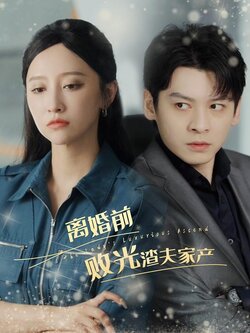 离婚前败光渣夫家产