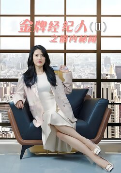 金牌经纪人2之圈内秘闻