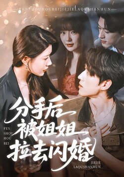 分手后被姐姐拉去闪婚