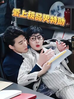 爱上极品男特助