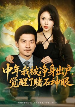 中年我被净身出户，觉醒了赌石神眼