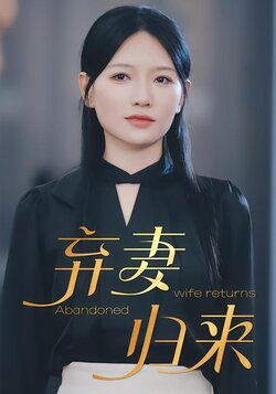 弃妻归来
