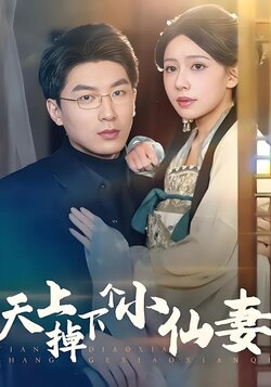 天上掉下个小仙妻