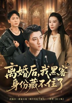 离婚后，我黑客身份藏不住了