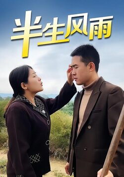半生风雨