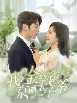 我的金丝雀竟是京圈太子爷