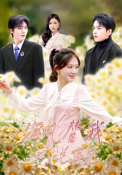 海风替我说再见