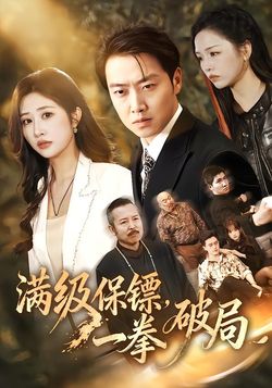 满级保镖，一拳破局